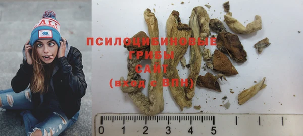 ГАЛЛЮЦИНОГЕННЫЕ ГРИБЫ Абаза