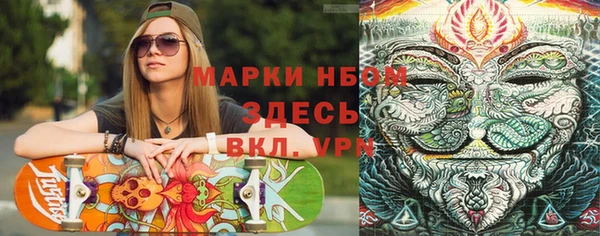 ГАЛЛЮЦИНОГЕННЫЕ ГРИБЫ Абаза