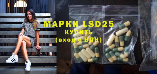ГАЛЛЮЦИНОГЕННЫЕ ГРИБЫ Абаза